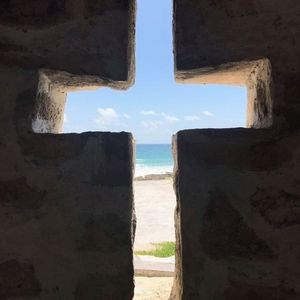 Meet your Posher, Terry